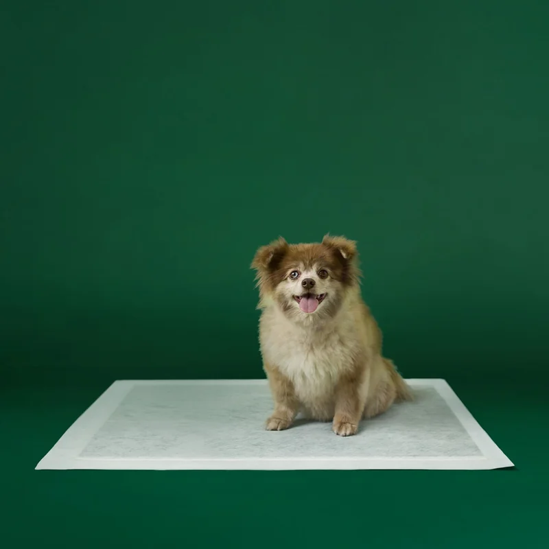Earth Rated Disposable Dog Pee Pads, front of the package